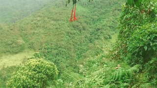 Колумбийки у шуми лижу једни другима језици и фуцкед са странцима у замену за финансијску помоћ.