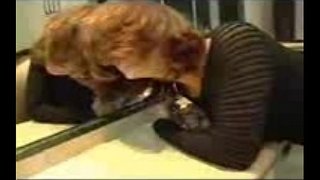 Masturboval a assfucked