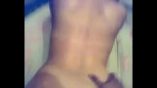 ערבי כלב עם כלבה