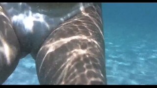 ���রম কুক্কুট ভিতরে d, পানি at porto da barra সালভাদর bahia