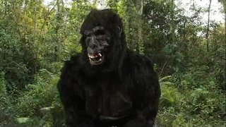 ���াজা দোং&amp;#039;s 40oz বাউন্স!