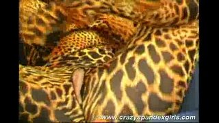 Hull spandex tüdruk kiusasid sugu