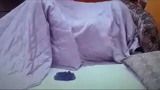 Marcos ই emilly স্বামী কোন bbb