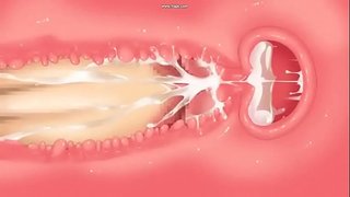 Jyoshikosei al washitsu de Misooden